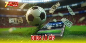 Odds là gì?